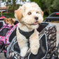 Petique 5-in-1 Airline Approved Dog Carrier with Wheels for In Cabin