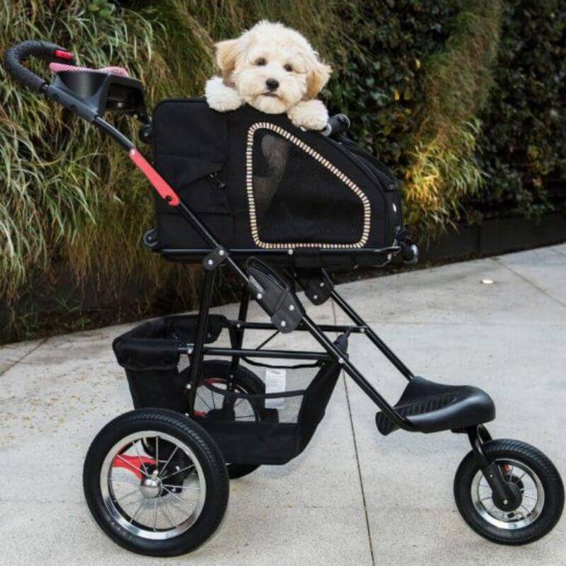 Petique 5-in-1 Airline Approved Dog Carrier with Wheels for Plane