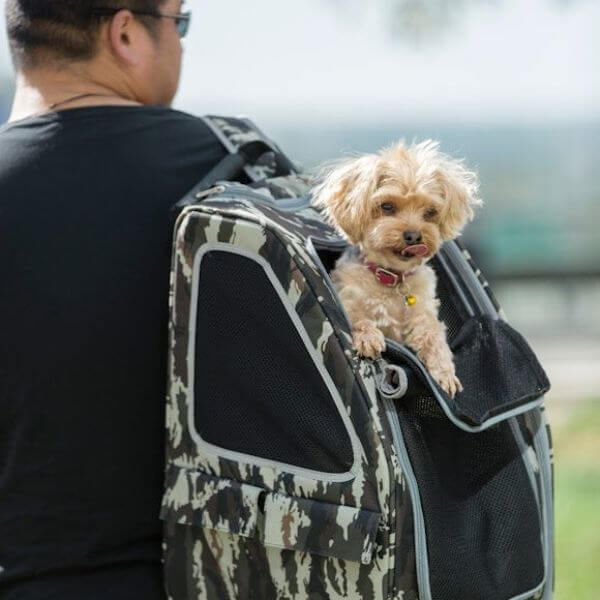 Petique 5-in-1 Airline Approved Dog Carrier with Wheels for Plane