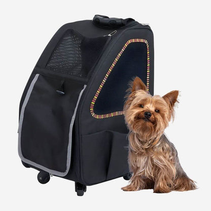 Petique 5-in-1 dog carrier in black with yellow and orange trim. Small dog sitting next to the pet carrier.