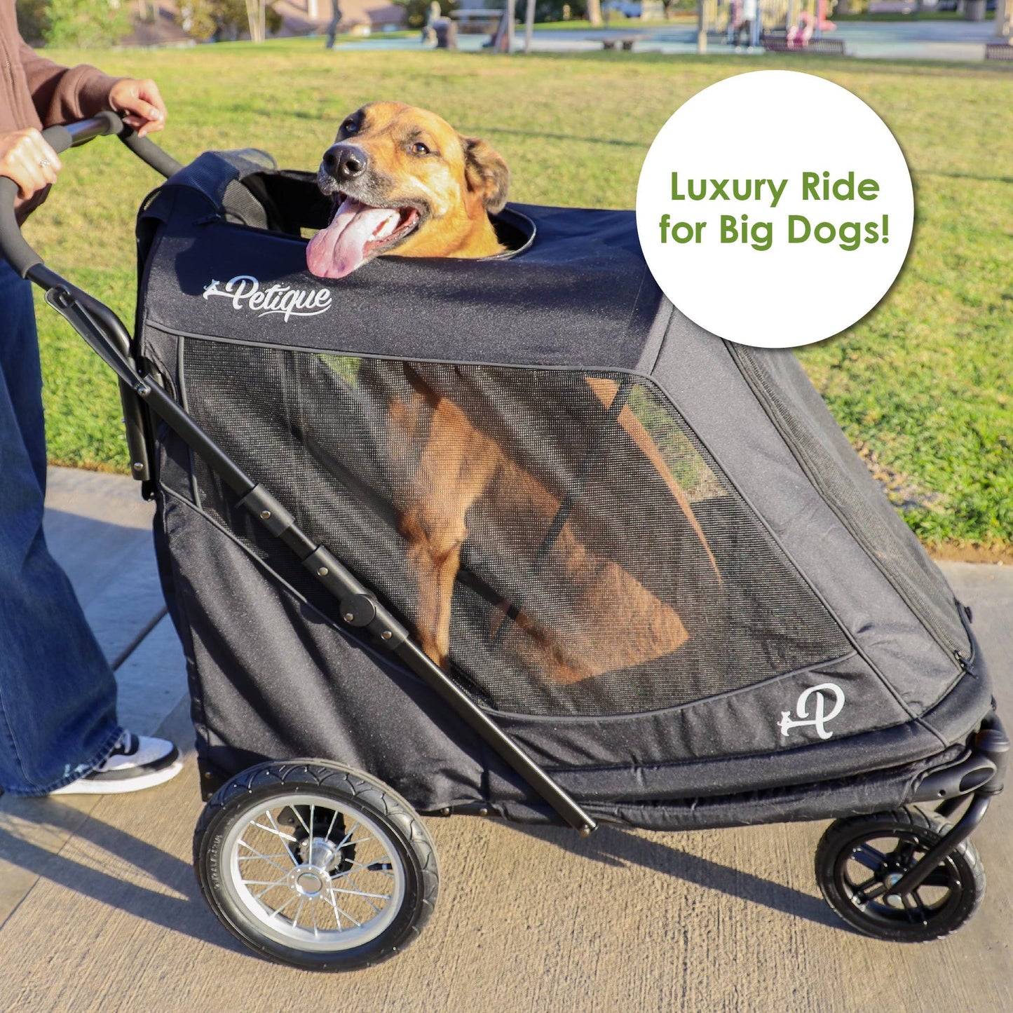 Petique Apollo Elite Pet Stroller for Large Dogs: Sturdy Ramp, Low to Ground, Air-Filled Bike Tires, Peek-a-Boo Window Folds Compact, Convertible Canopy, For Large & Multiple Dogs, Supports up to 133 LBS