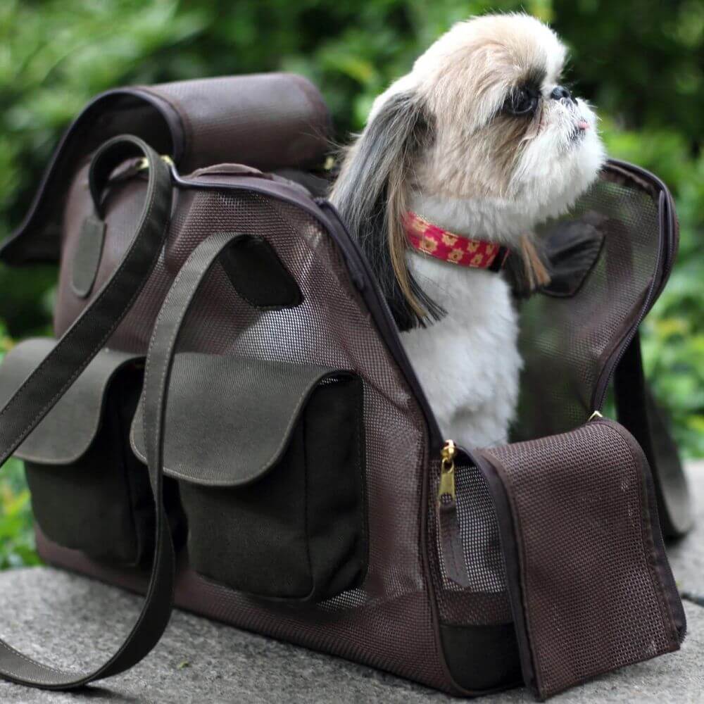 Maltese dog sitting inside the Canine Styles pet carrier all mesh brown purse.