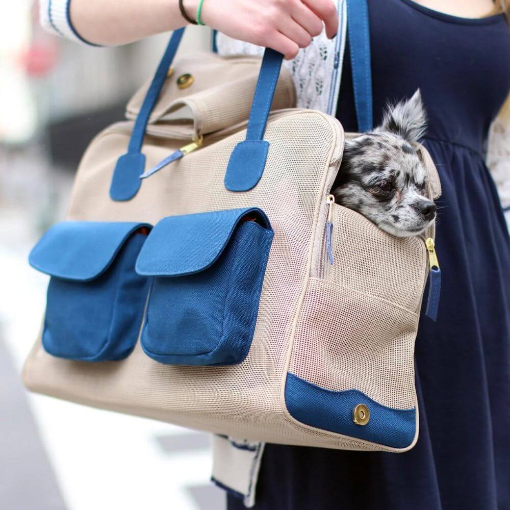 A woman carrying a small dog in an over the shoulder Canine Styles pet carrier.