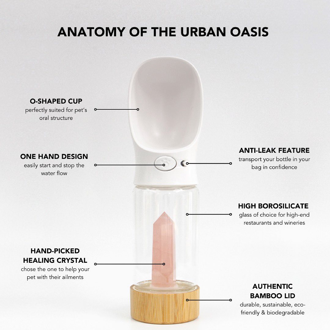 Urban Oasis Crystal Infused Pet Water Bottle - Rose Quartz