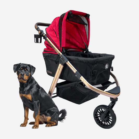 Enzo Roma Dog Stroller - Red