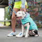 GF Pet Reversible Dog Raincoat