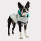 GF Pet Reversible Dog Raincoat