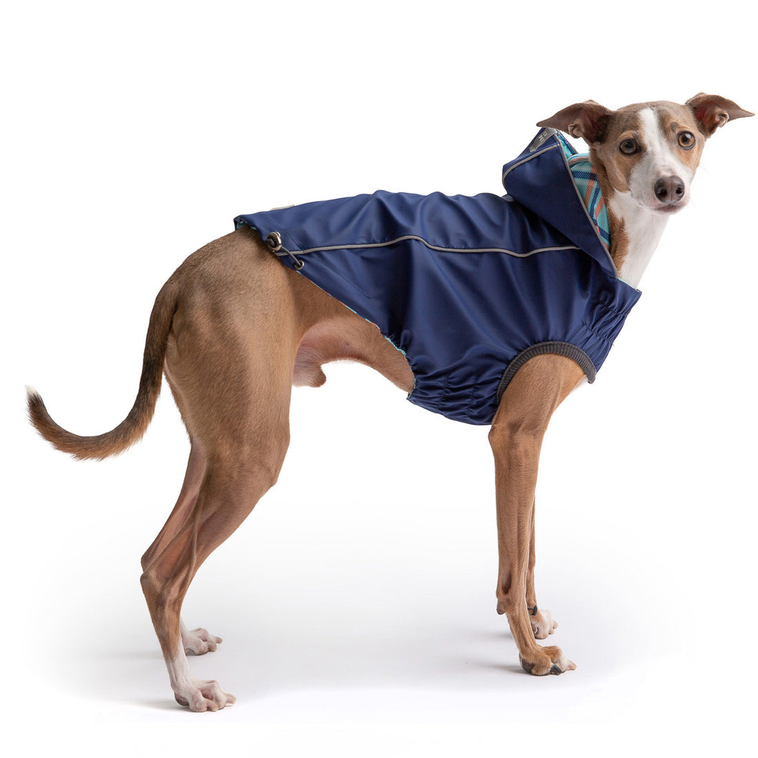 GF Pet Reversible Dog Raincoat