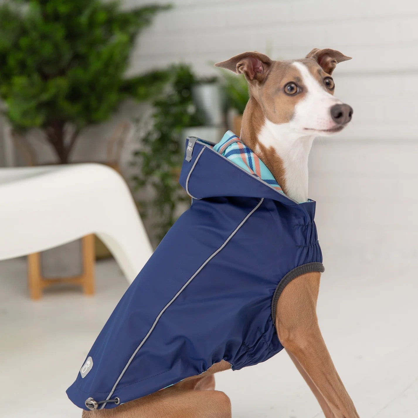 GF Pet Reversible Dog Raincoat