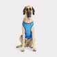 GF Pet Elasto-Fit Ice Vest Cooling Vest for Dogs