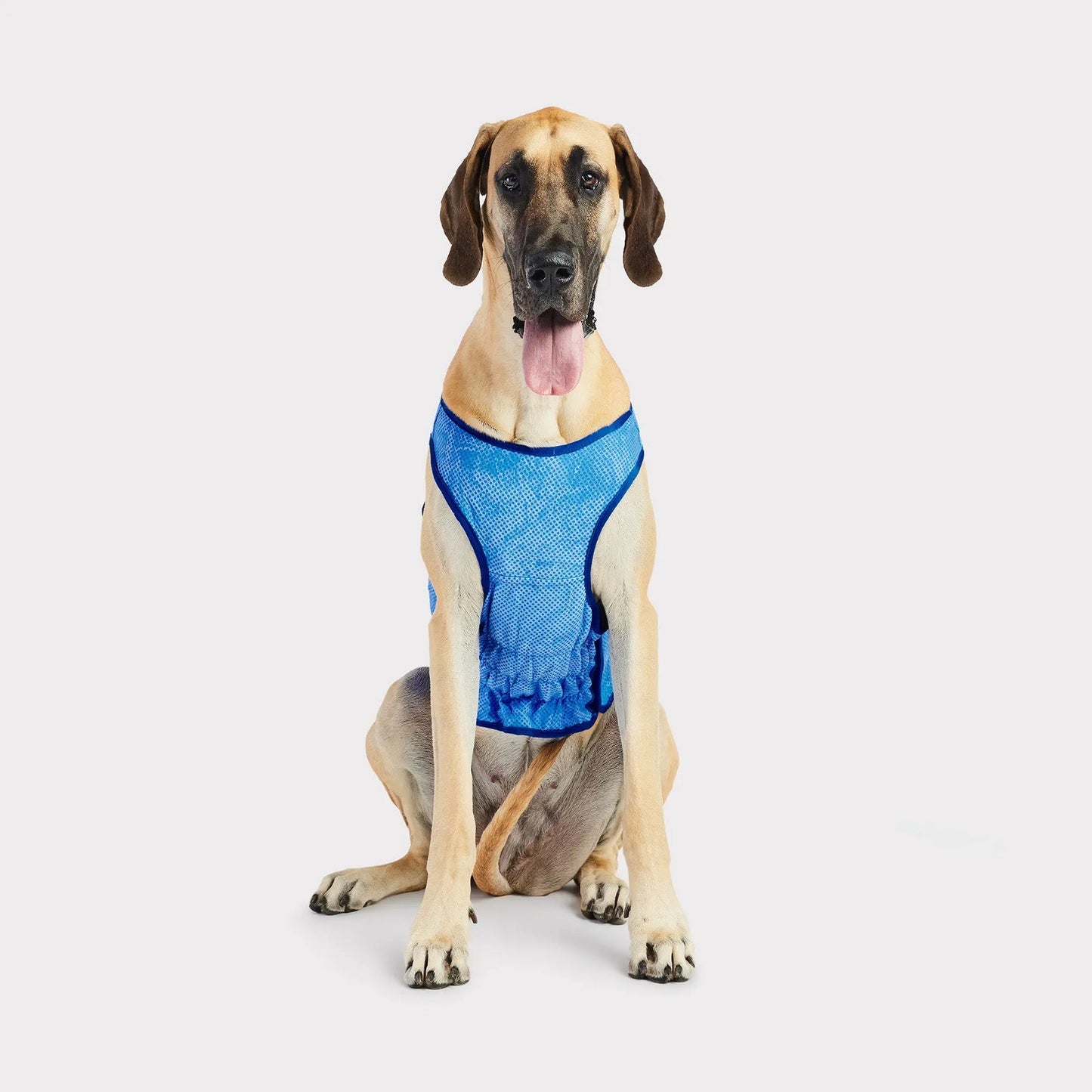 GF Pet Elasto-Fit Ice Vest Cooling Vest for Dogs