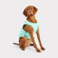 GF Pet Elasto-Fit Ice Vest Cooling Vest for Dogs