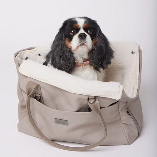 Maxbone City Carrier Dog Bag