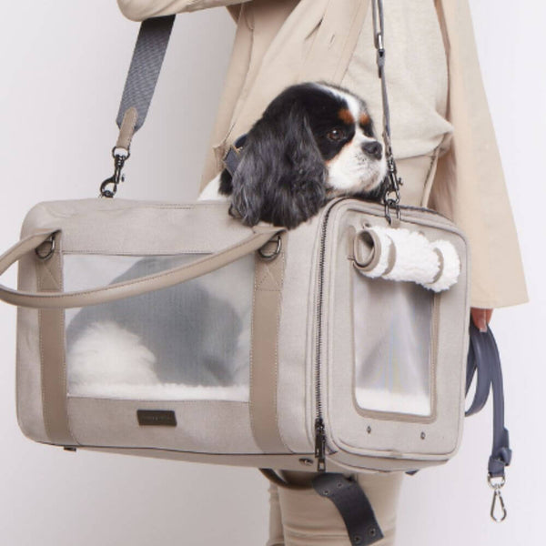 Airline approved chic dog carrier by max bone.