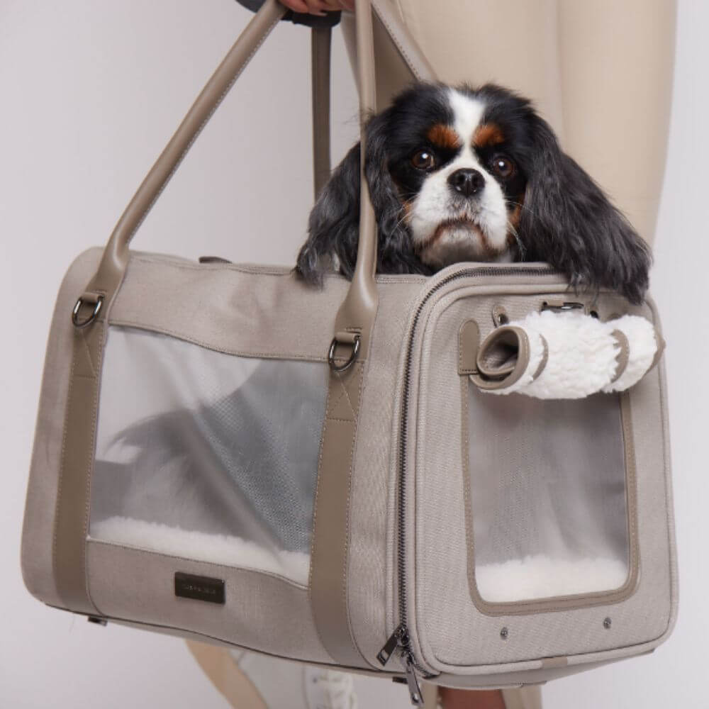 Maxbone Global Citizen Dog Carrier Modern Bag