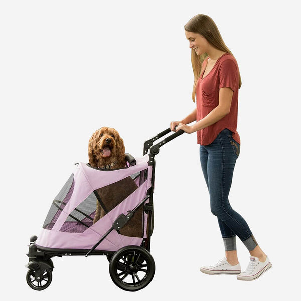 Woman walking with Labradoodle sitting inside Pet Gear Excursion dog stroller for large dogs.