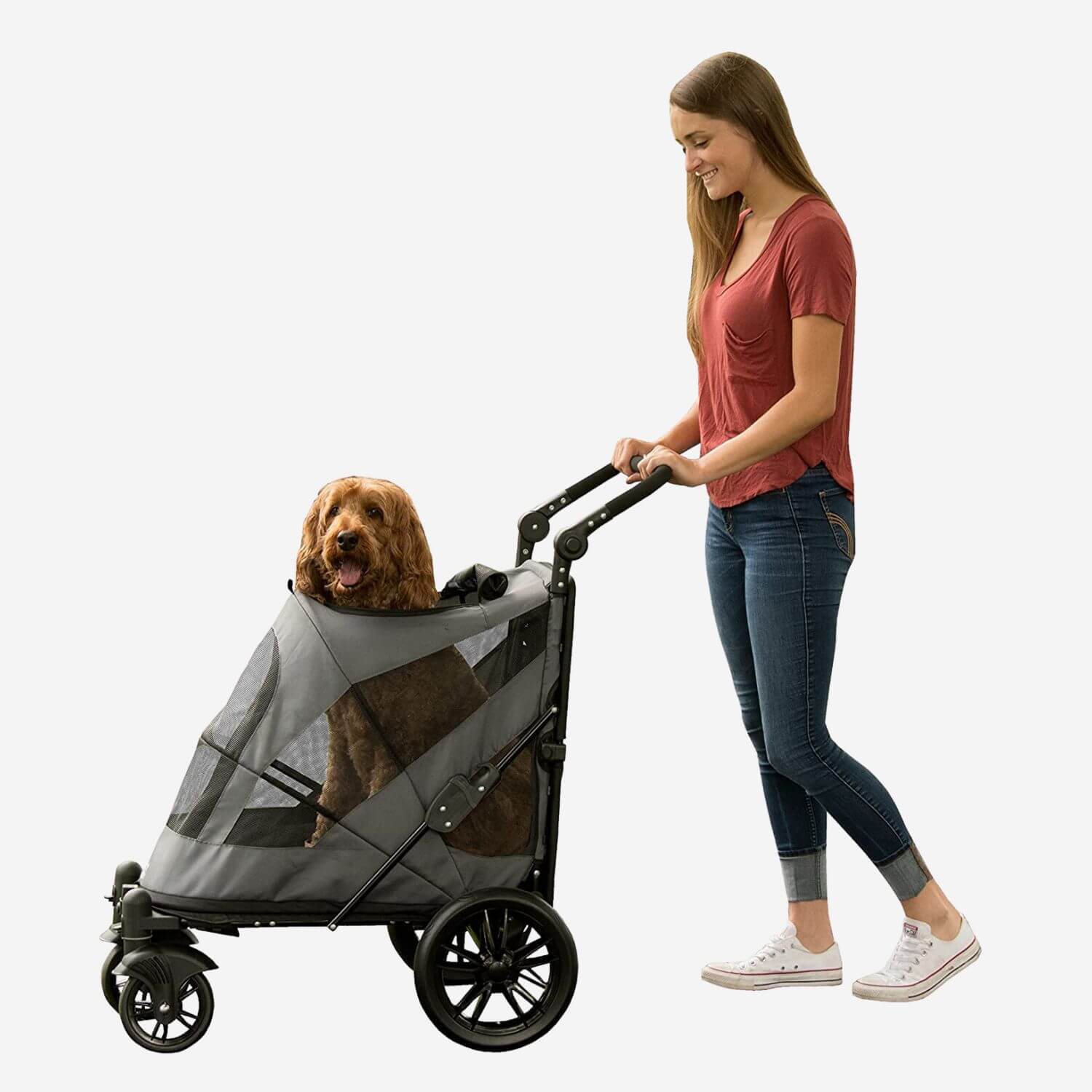 Woman walking with Labradoodle sitting inside Pet Gear Excursion dog stroller for large dogs.