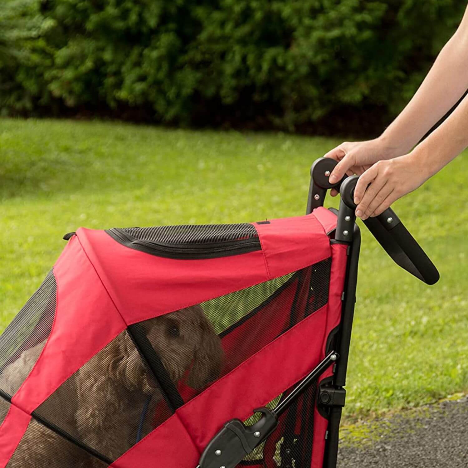 Person pressing the button on the adjustable handle for the Pet Gear Excursion dog stroller.