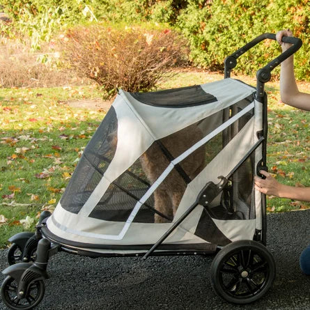 Labrador sitting inside Pet Gear Expedition dog stroller for large dogs.