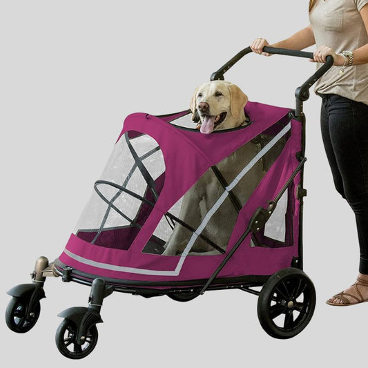 Labrador sitting inside Pet Gear Expedition dog stroller for large dogs.