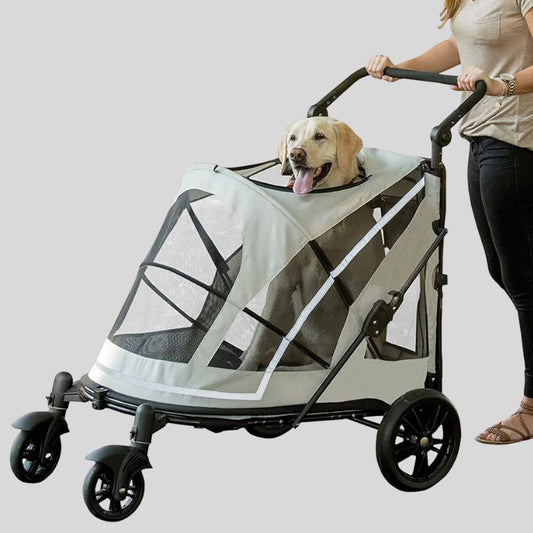 Labrador sitting inside Pet Gear Expedition dog stroller for large dogs.