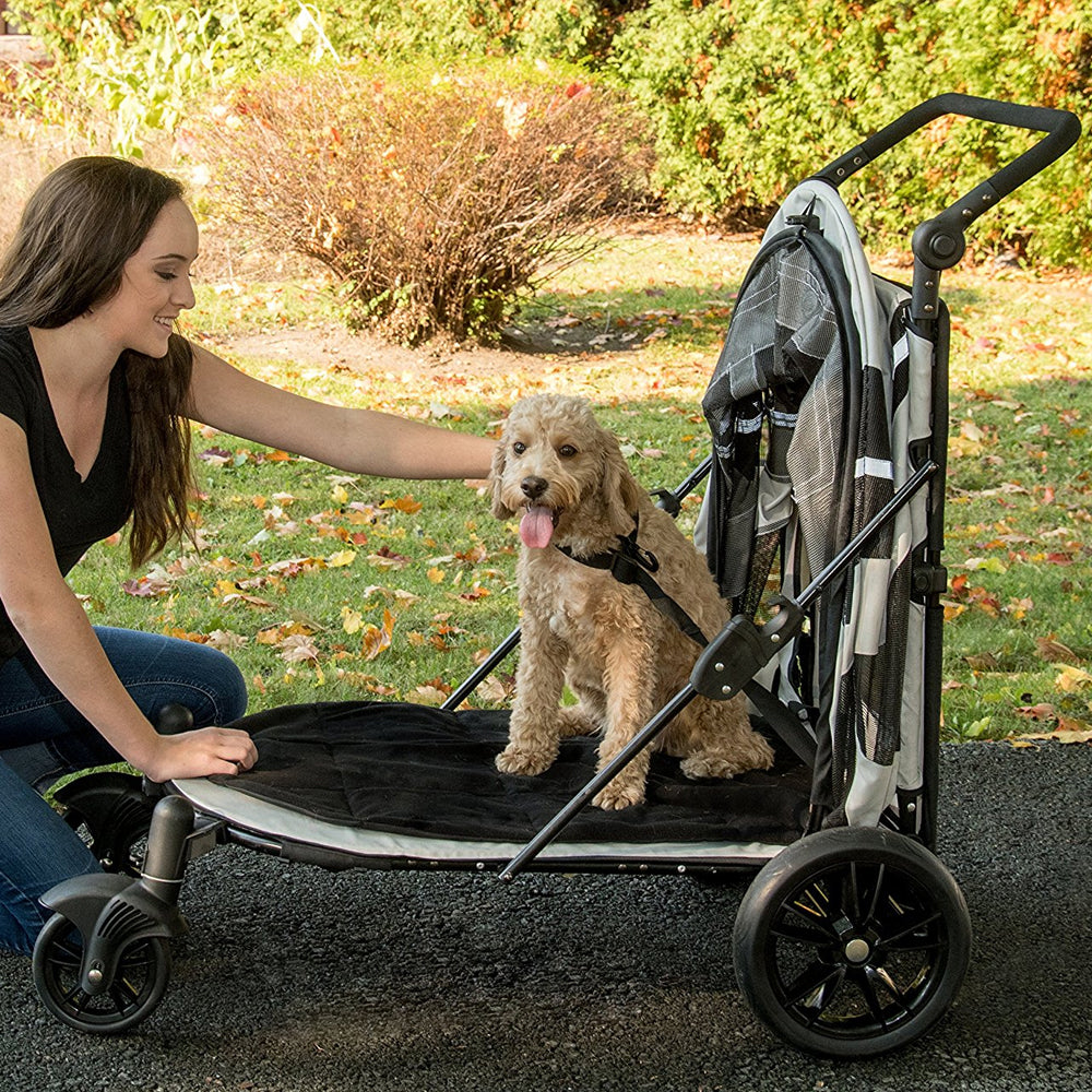 Large dog sitting inside the Pet Gear Expedition pet stroller with the canopy completely open.