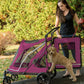 Medium size dog entering Pet Gear Expedition dog stroller from back entry