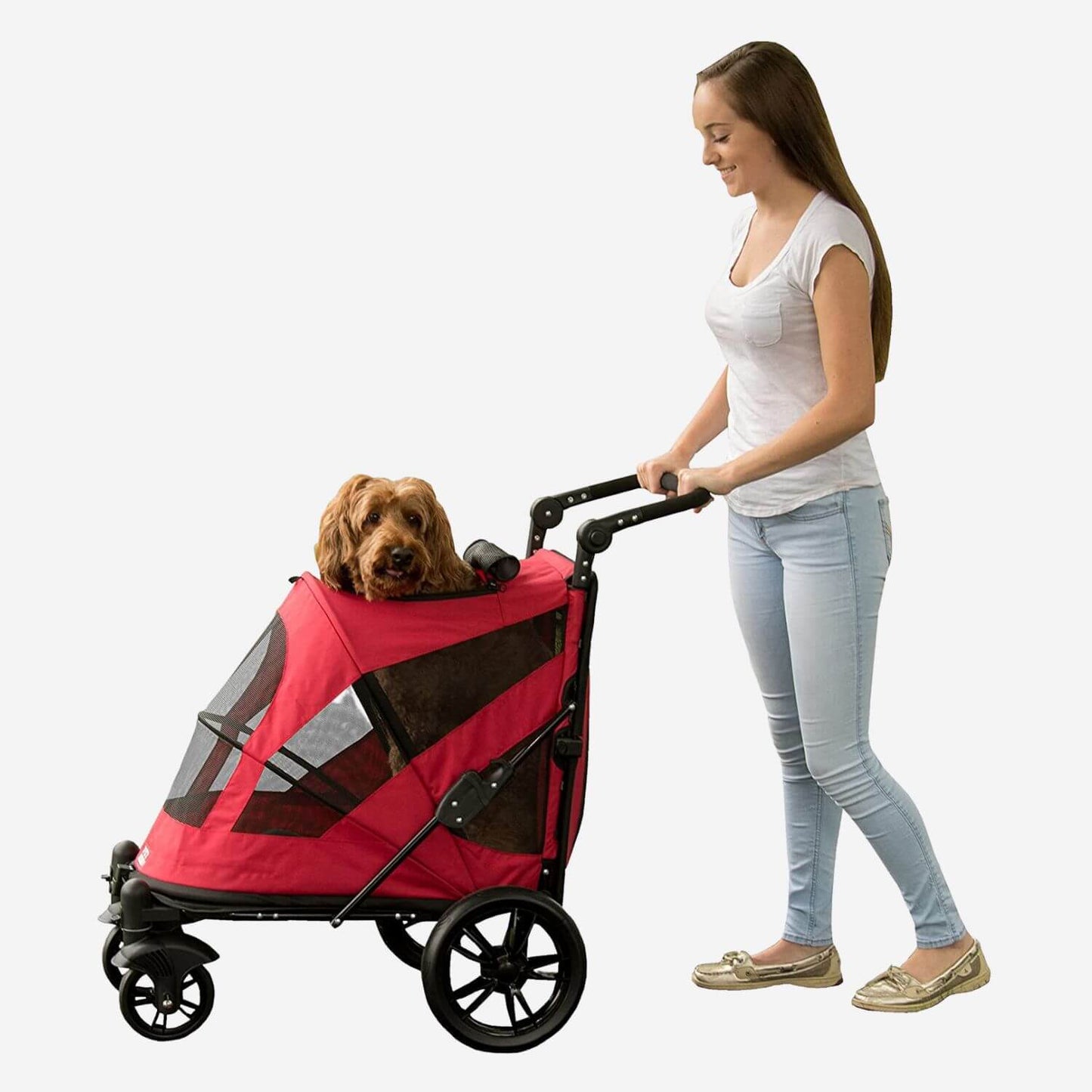 Woman walking with Labradoodle sitting inside Pet Gear Excursion dog stroller for large dogs.