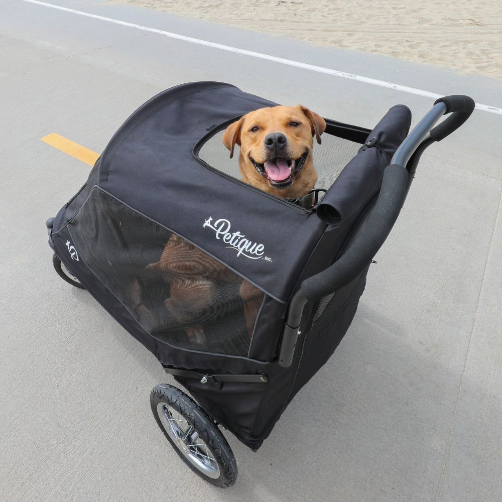 Petique Apollo Pet Stroller for Large Dogs