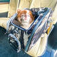 Small dog sitting inside Petique dog car seat in the back seat of car.