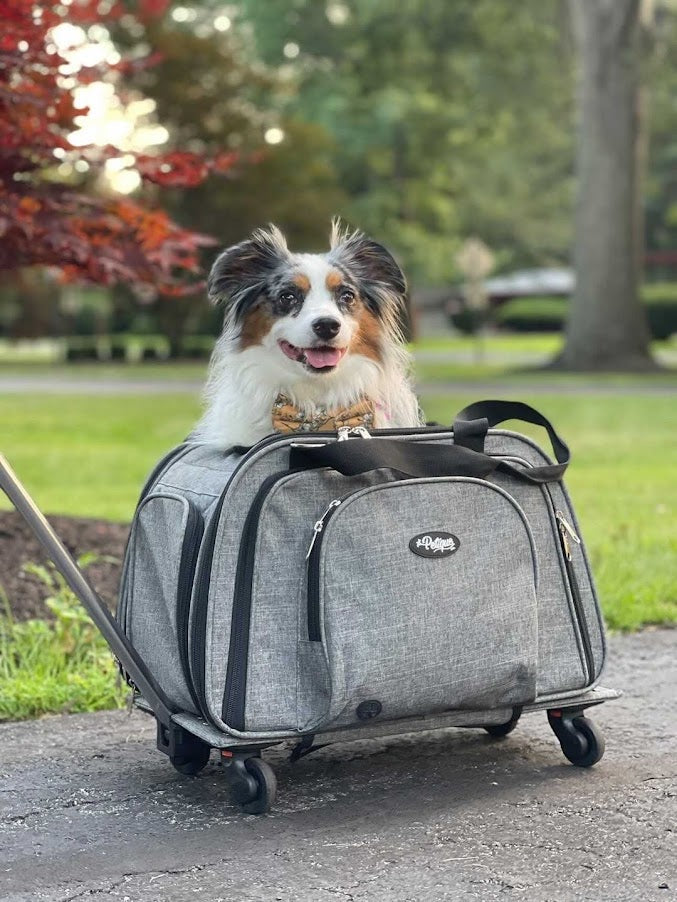 Petique Happy Camper Expandable Pet Carrier