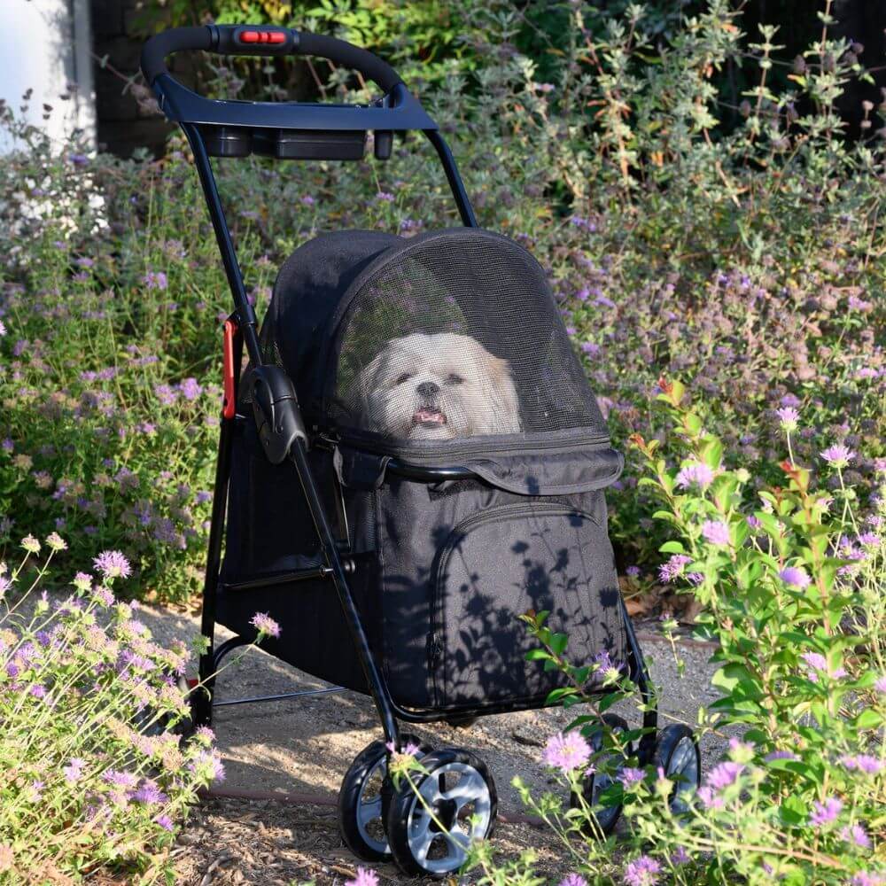 Small dog sitting inside the Petique Simplicity dog stroller parked outside.