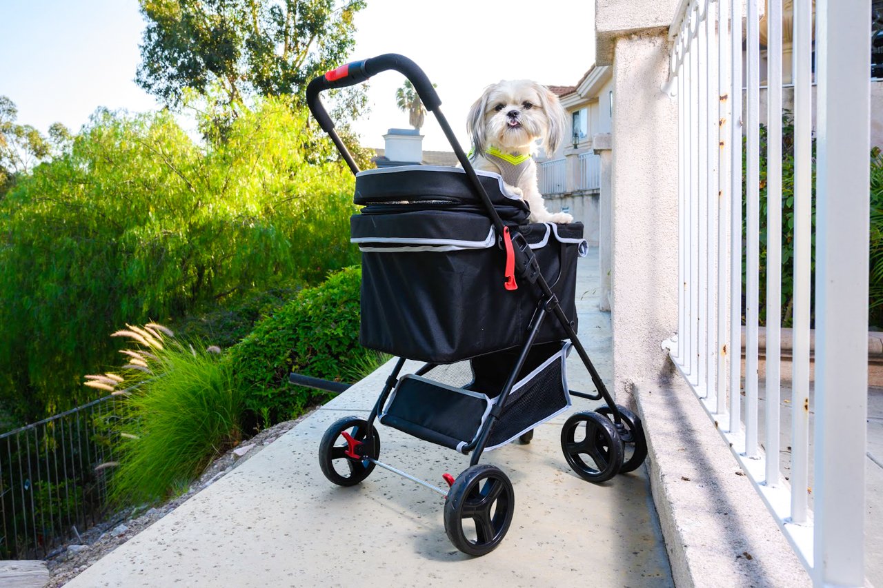 Petique Pet and Pets Swift Pet Stroller