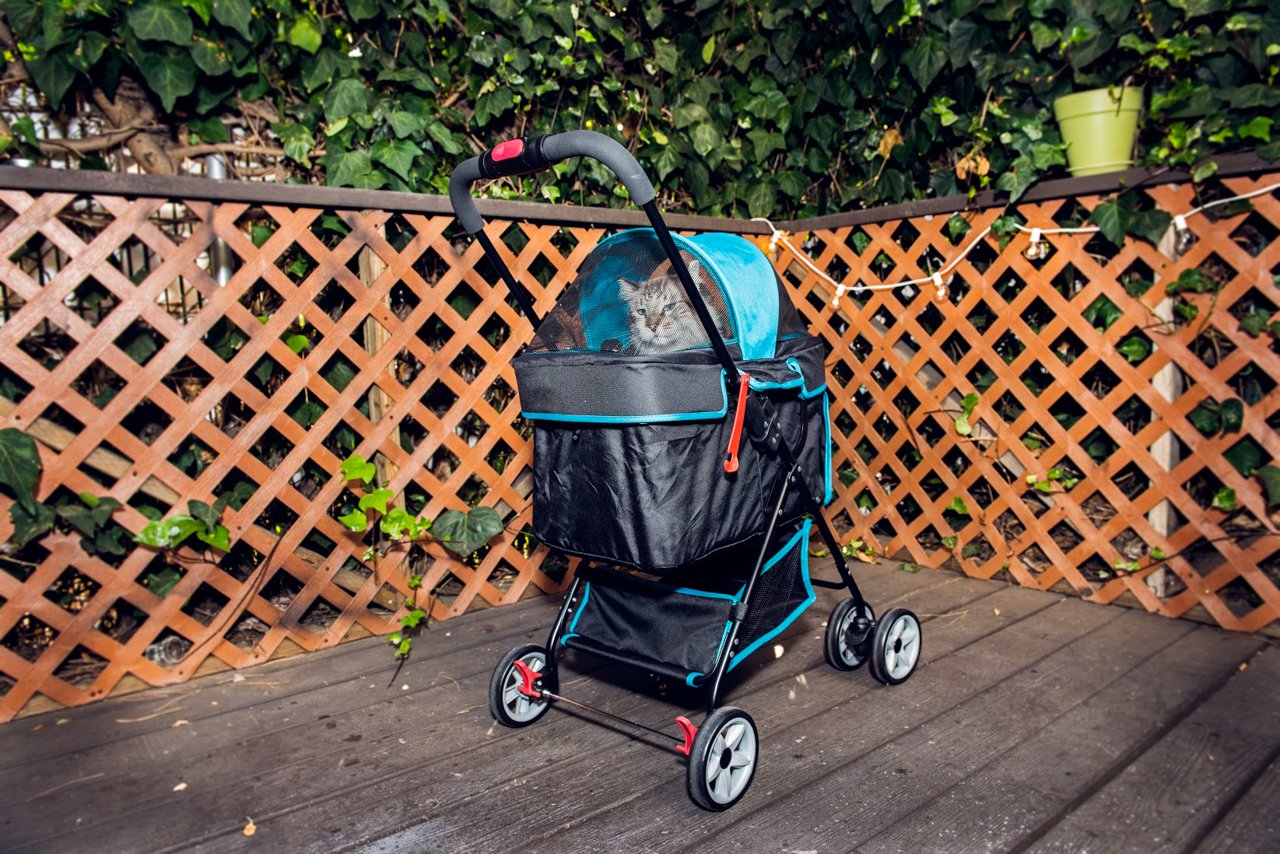 Petique Pet and Pets Swift Pet Stroller