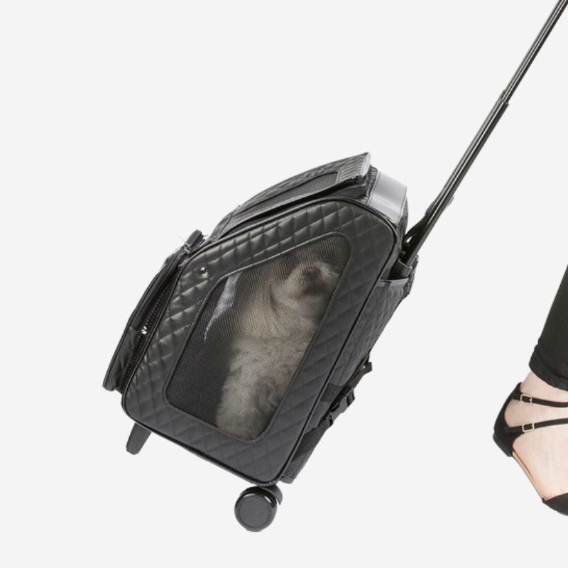 Small dog inside a Petote Rio dog carrier that has wheels and a telescopic handle.