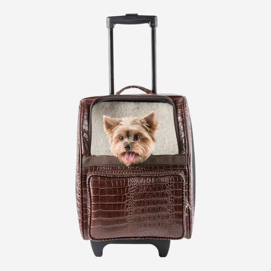 Petote Rio pet carrier with a Terrier sitting inside the dog carrier peeking out the window.