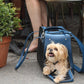 Shaya Cobalt Pet Carrier