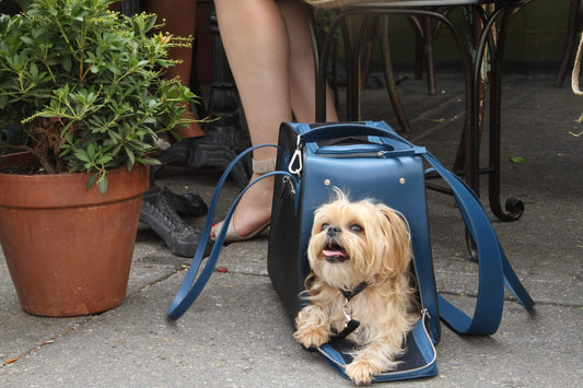 Shaya Cobalt Pet Carrier