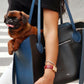 Shaya Cobalt Pet Carrier