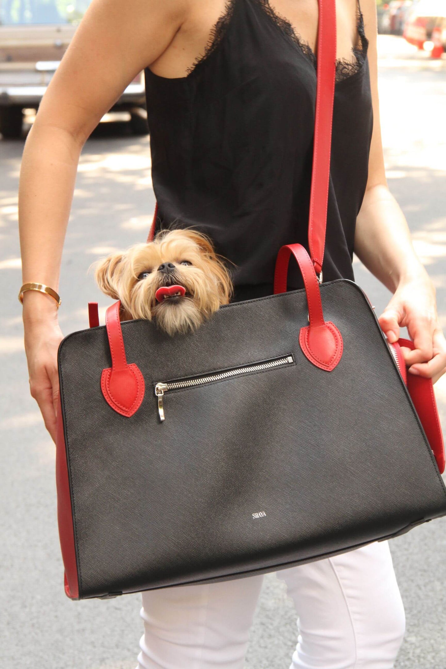 Shaya Ruby Pet Carrier