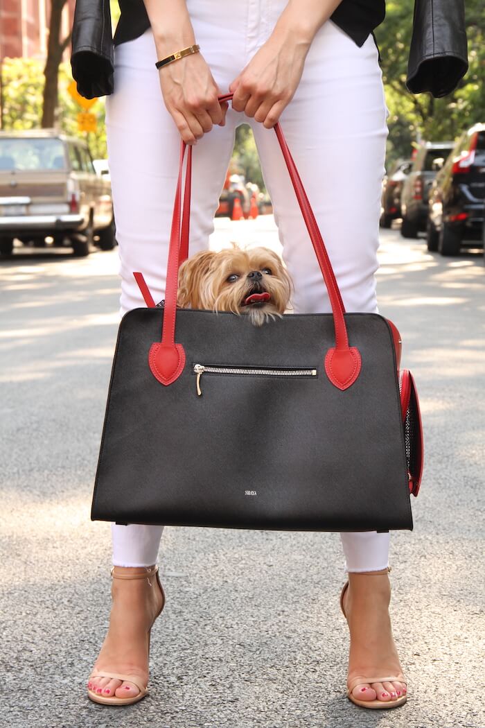 Shaya Ruby Pet Carrier