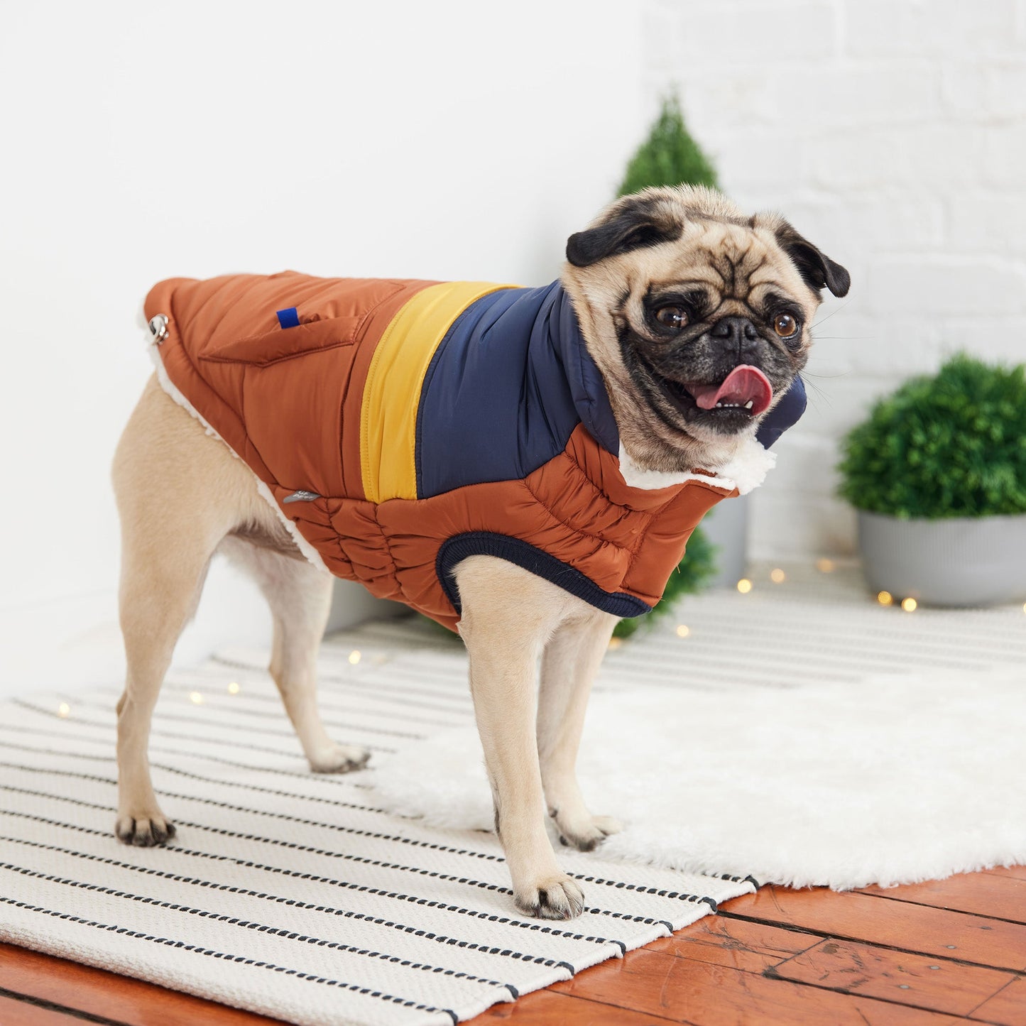 GF Pet Retro Puffer - Hazel