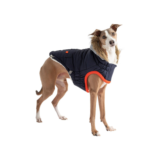 GF Pet Winter Sailor Parka - Navy