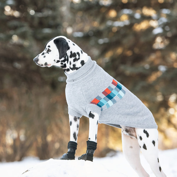 GF Pet Winter Sailor Dog Sweater - Grey