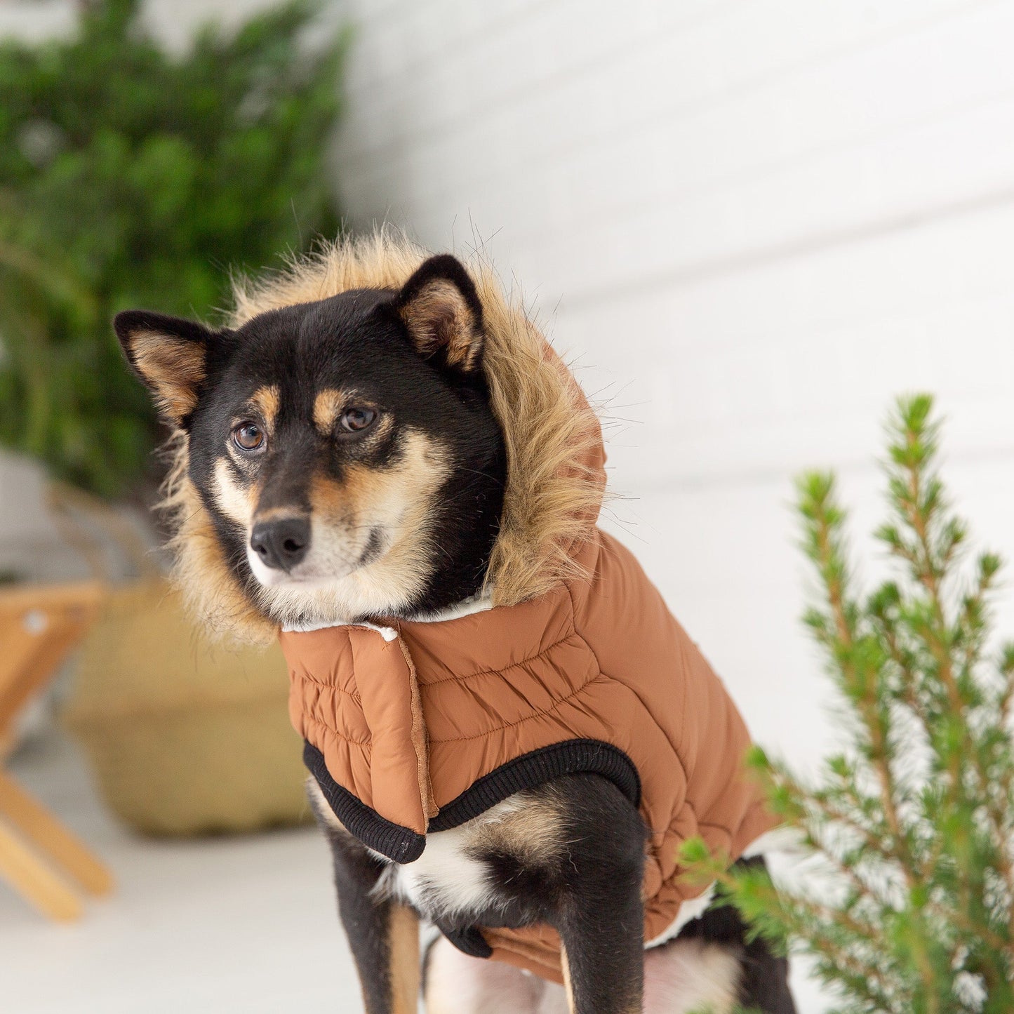 GF Pet Urban Parka - Caramel