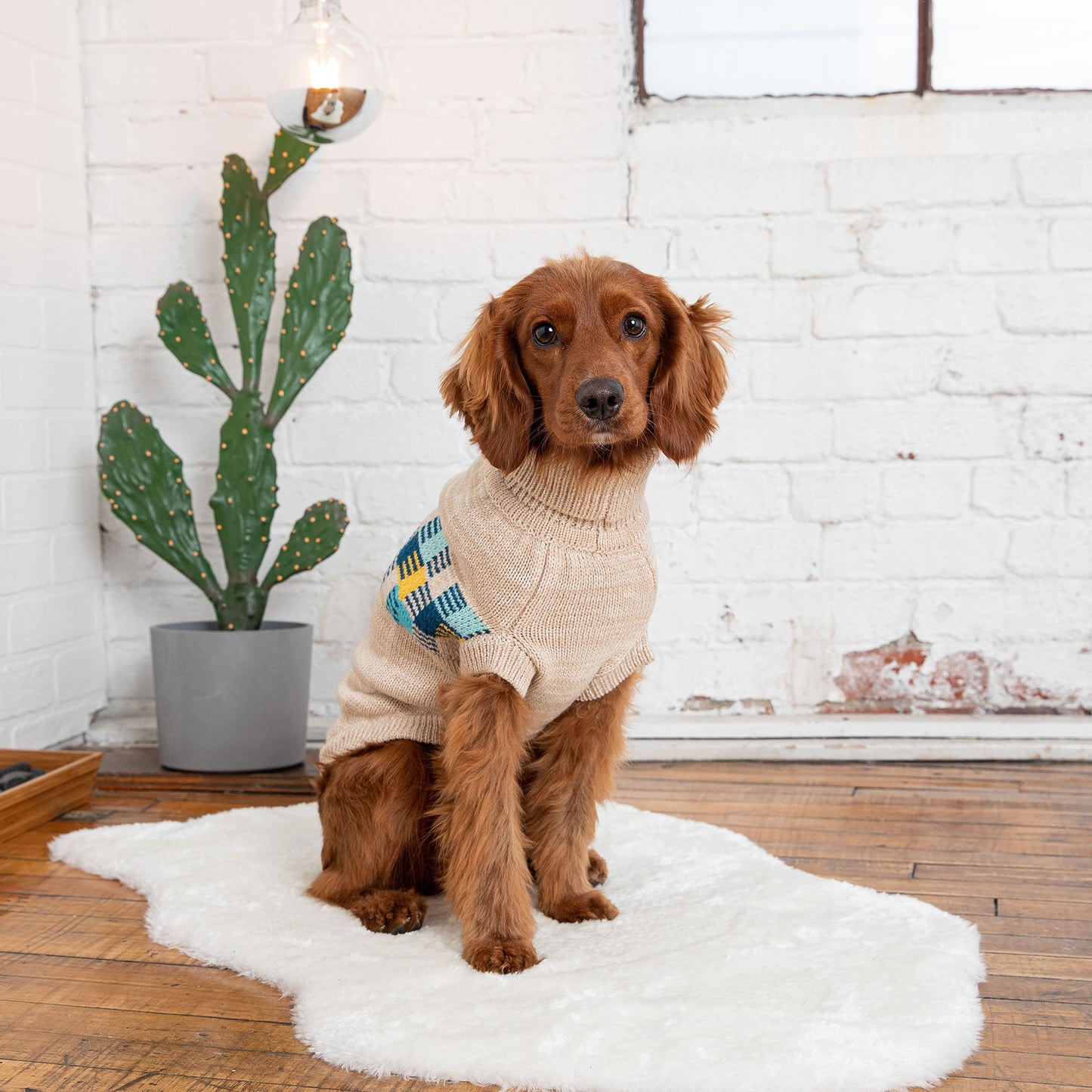 GF Pet Winter Sailor Dog Sweater - Oatmeal