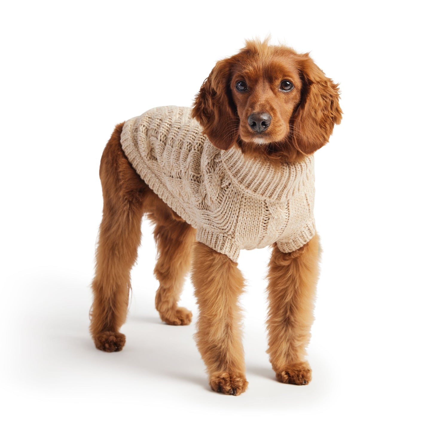 GF Pet Chalet Dog Sweater - Oatmeal