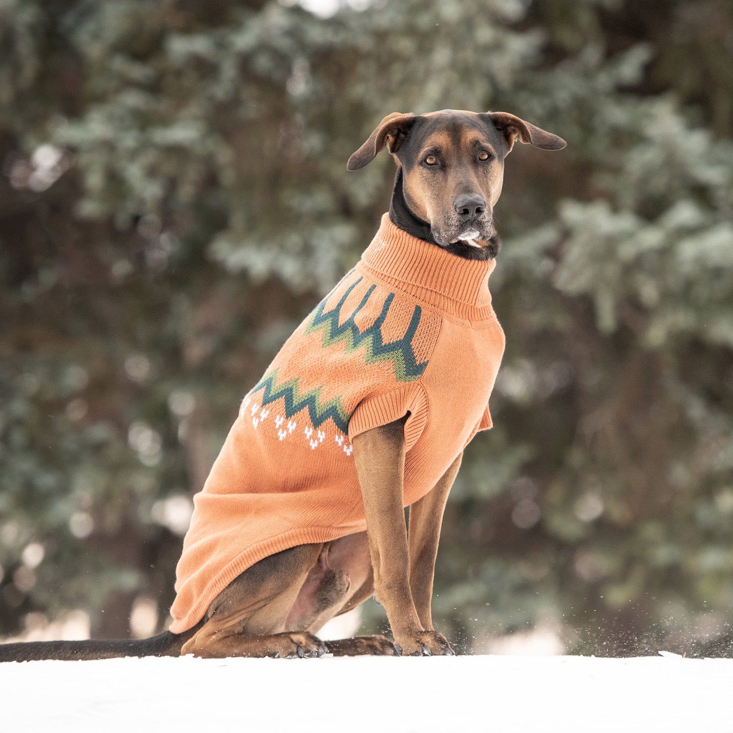 GF Pet Heritage Dog Sweater - Hazel