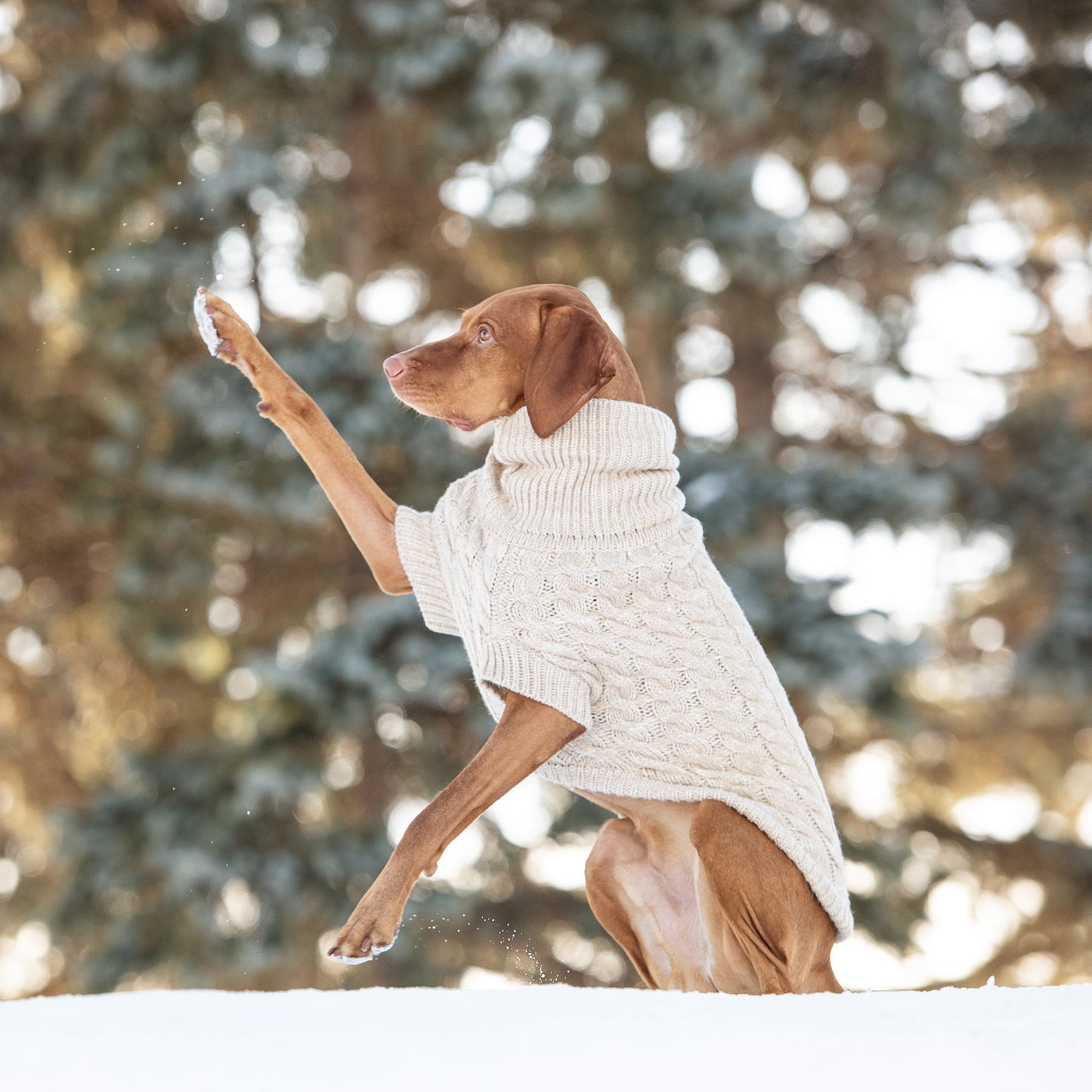 GF Pet Chalet Dog Sweater - Oatmeal