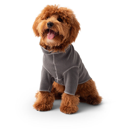 GF Pet Gondola Base Layer - Charcoal